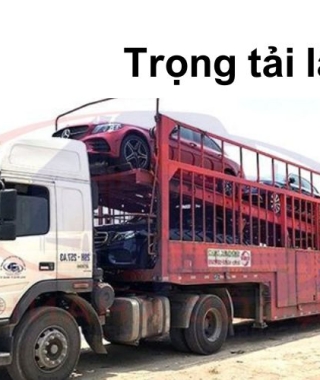 Trọng tải là gì? Phân biệt tải trọng và trọng tải?